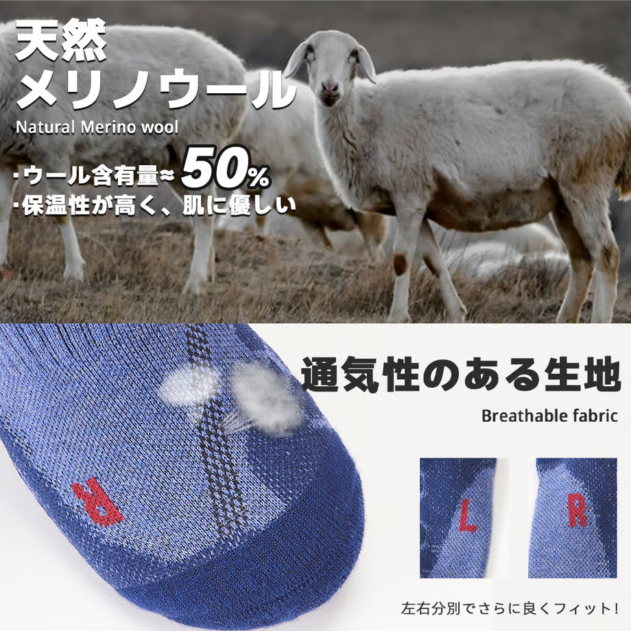 デザインソックス